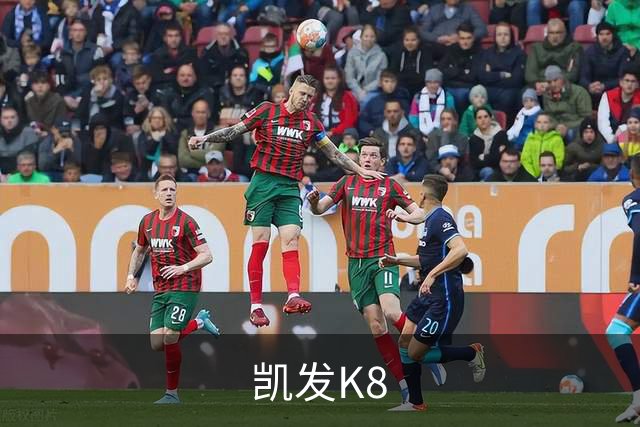 凯发K8公司介绍